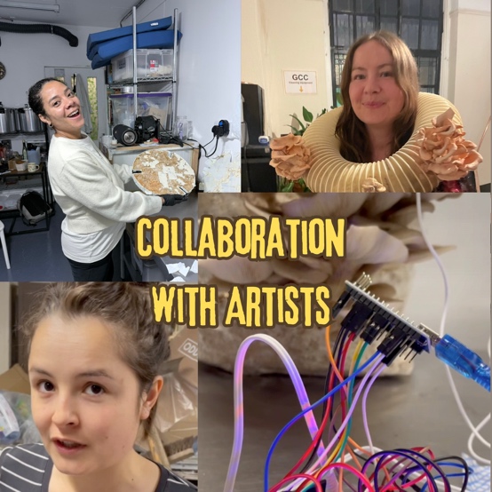 Collaboration with artists working with mycelium as a material and inspiration