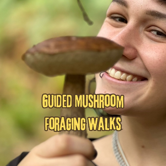 Guided mushroom foraging walk - a fresh-picked porcini held up in the woods