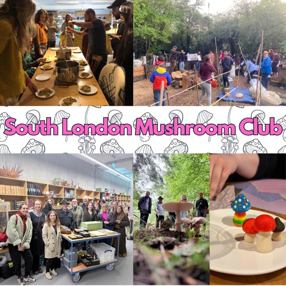 South London Mushroom Club - monthly gatherings, foraging, shared meals and making