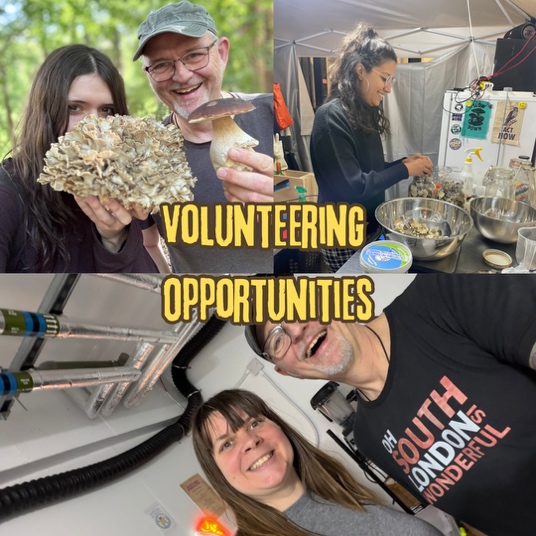 Volunteers at Adi's Urban Mushrooms holding harvests and working together at the urban farm