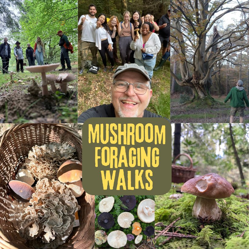 Guided mushroom foraging walks in woodland with Adi's Urban Mushrooms