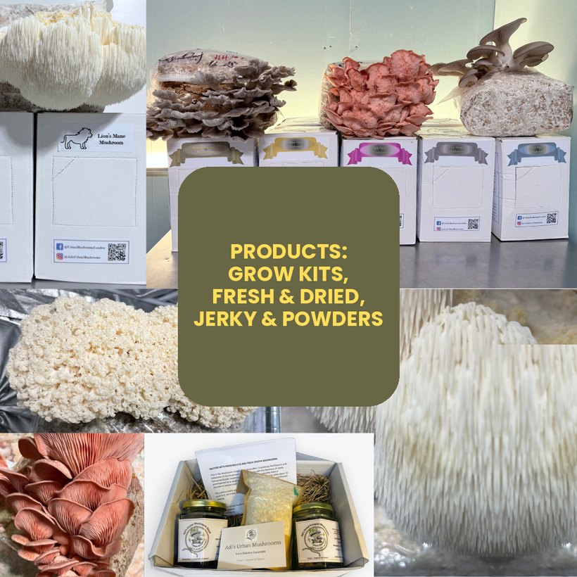 Adi's Urban Mushrooms products: grow kits, fresh and dried mushrooms, jerky and seasoned powders